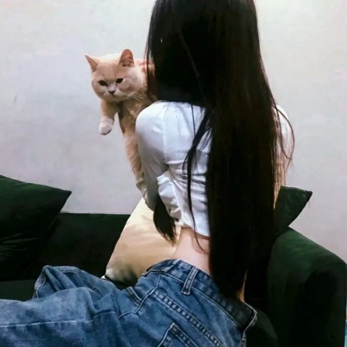 新猛龙过江